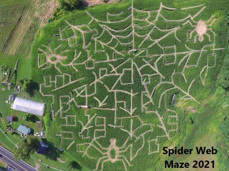 Moonlight Maze at Schuyler Farms